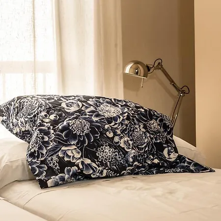 Apartamento Ollerias